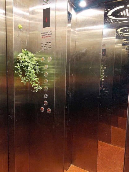 [004591]TTSTUSK-SM01