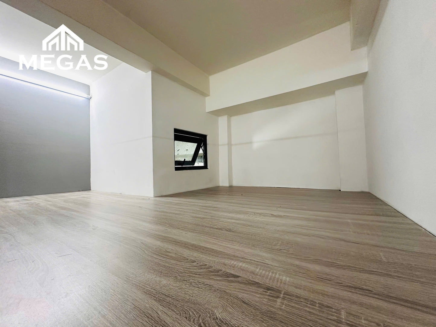 [004201]TNHDUPST-SM01