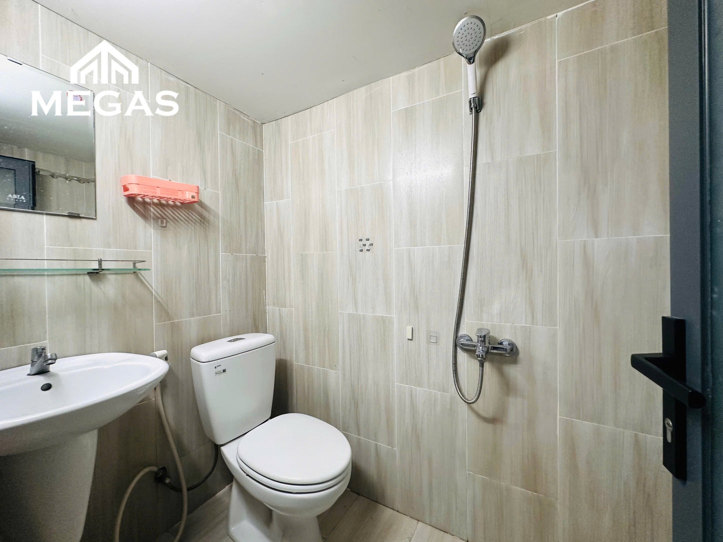 [004201]TNHDUPST-SM01