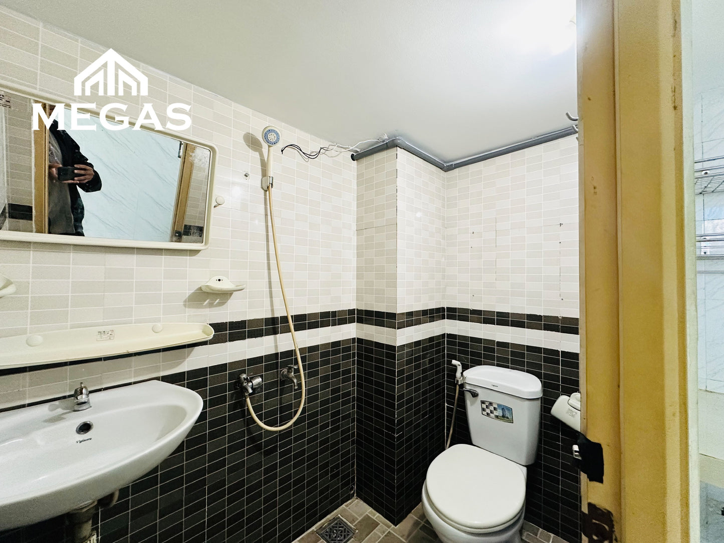 [005041]LTHDUPST-SM02