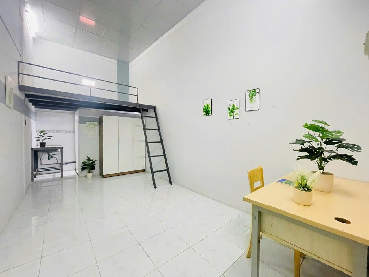 [006771]DDL1PNSK-LG01