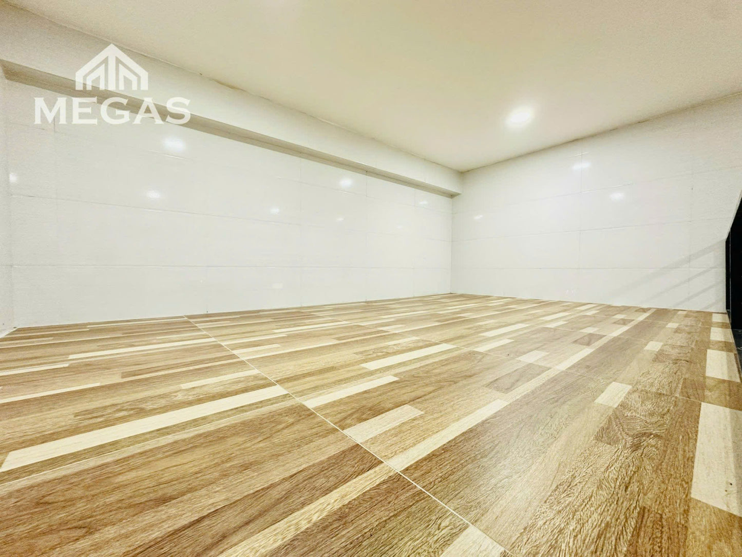 [001841]TDTDUPST-NM01