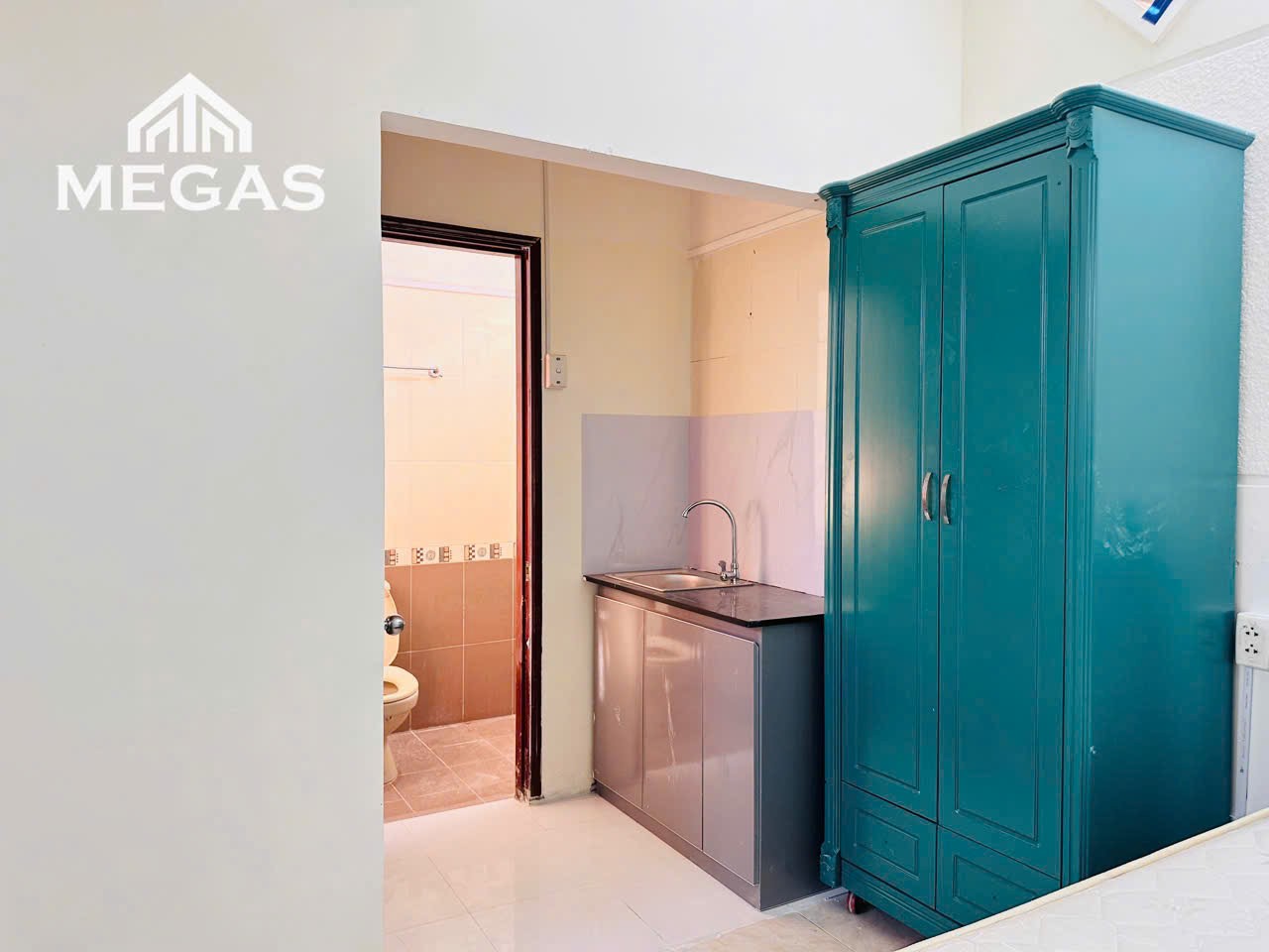 [001781]PTHSTUST-NM03