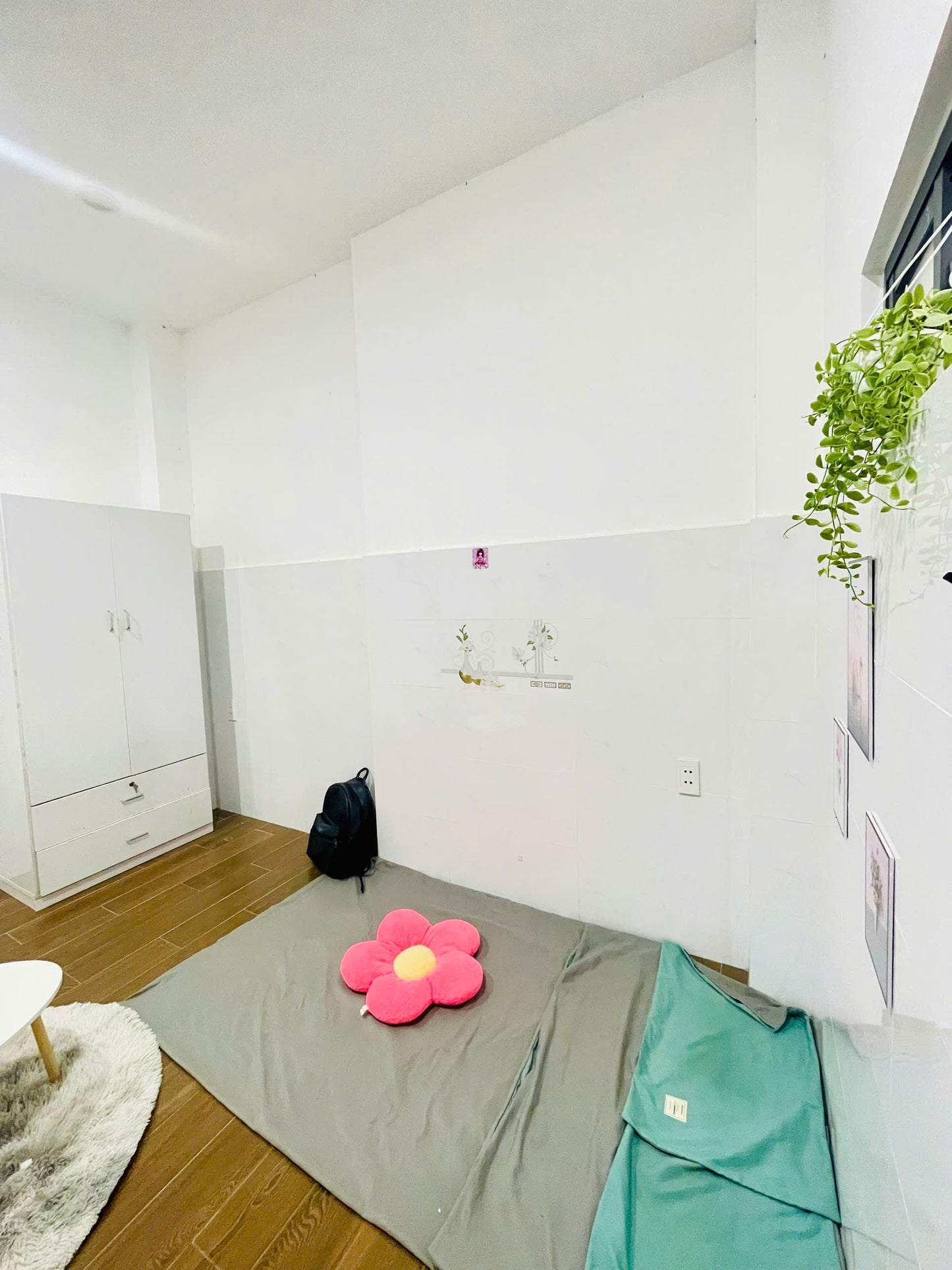 [002561]TSNSTUST-NM02