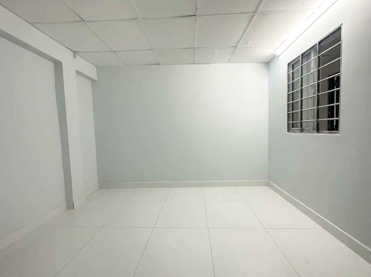 [002981]NSSTUST-NM01