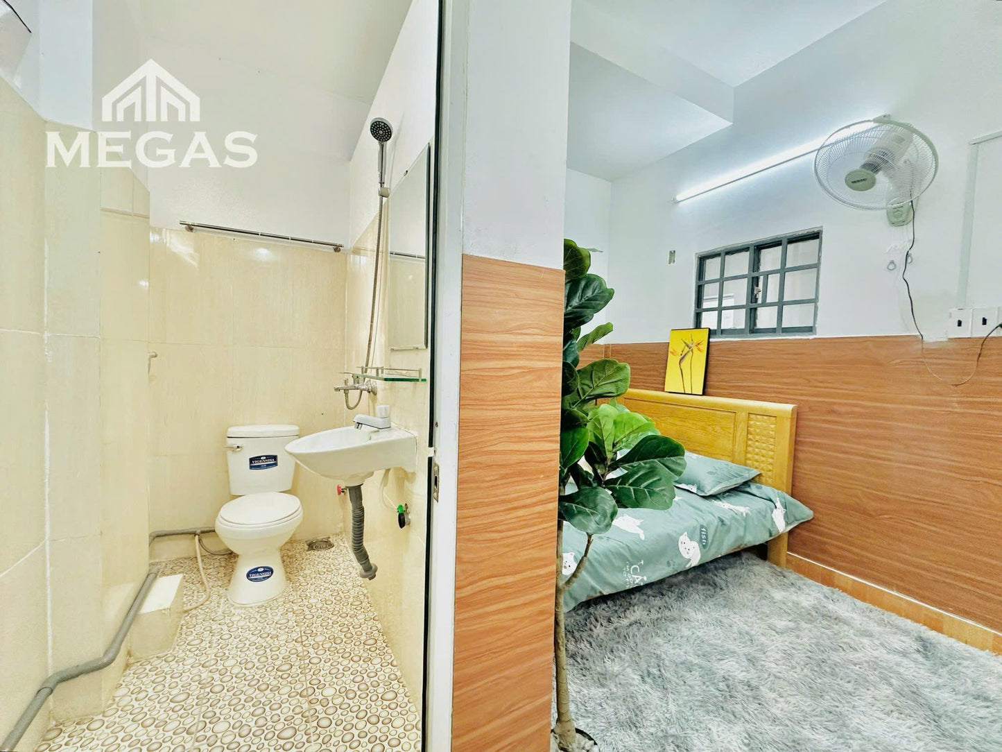 [000531]THSTUST-NM01