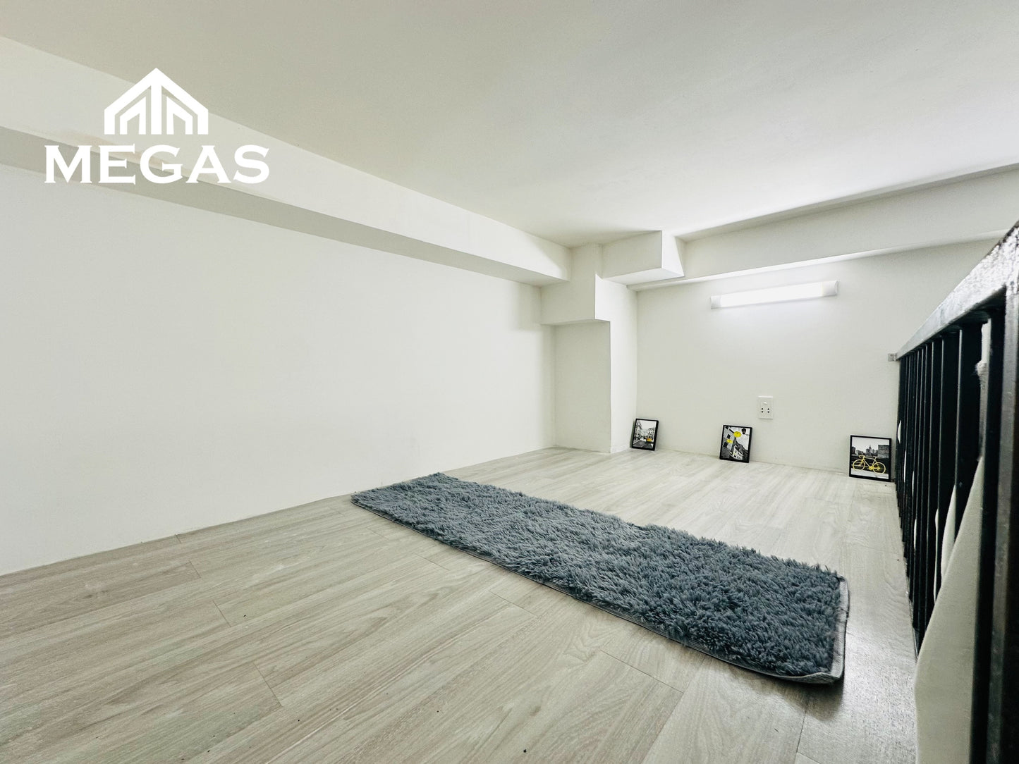 [002311]LSDUPST-NM01