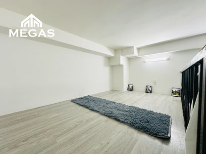 [002311]LSDUPST-NM01