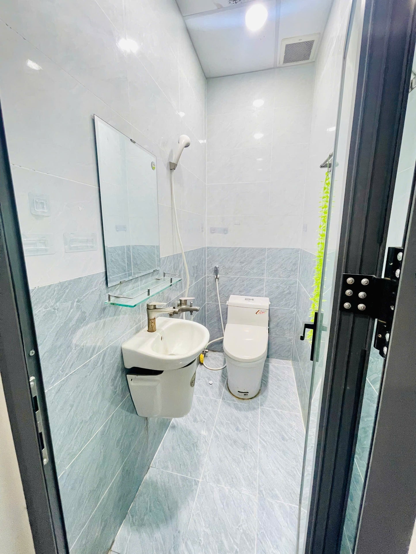 [002561]TSNSTUST-NM02