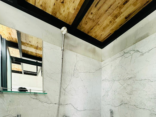 [001391]NNNDUPBC-NM02