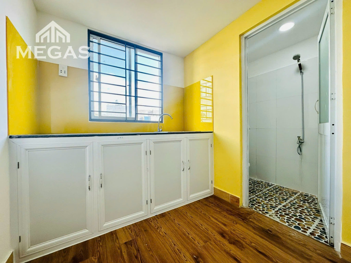 [000161]NVYDUPSK-NM01