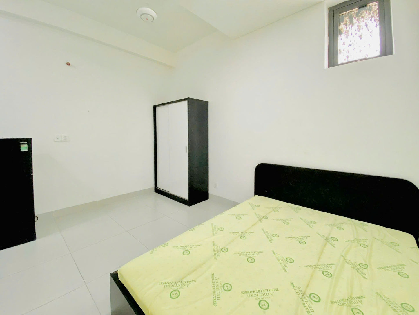 [000571]DTLSTUST-NM02