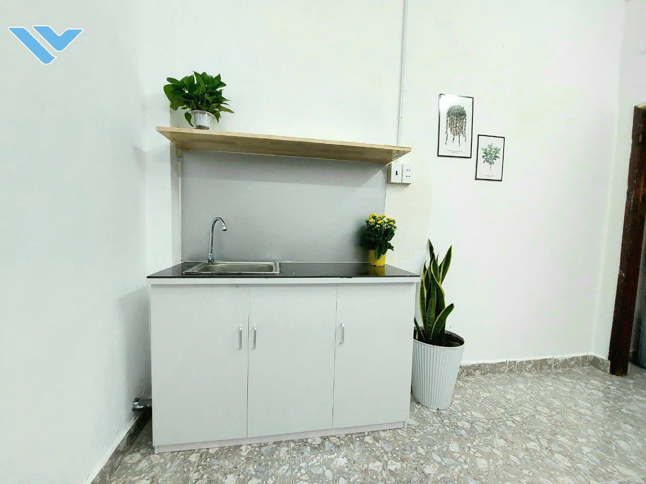 [003305]TSHSTUST-NM01