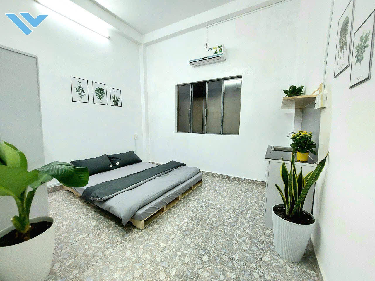 [003305]TSHSTUST-NM01