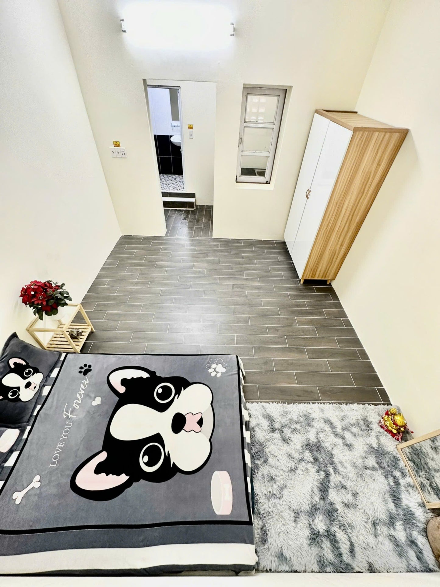 [003775]TTSTUST-NM01