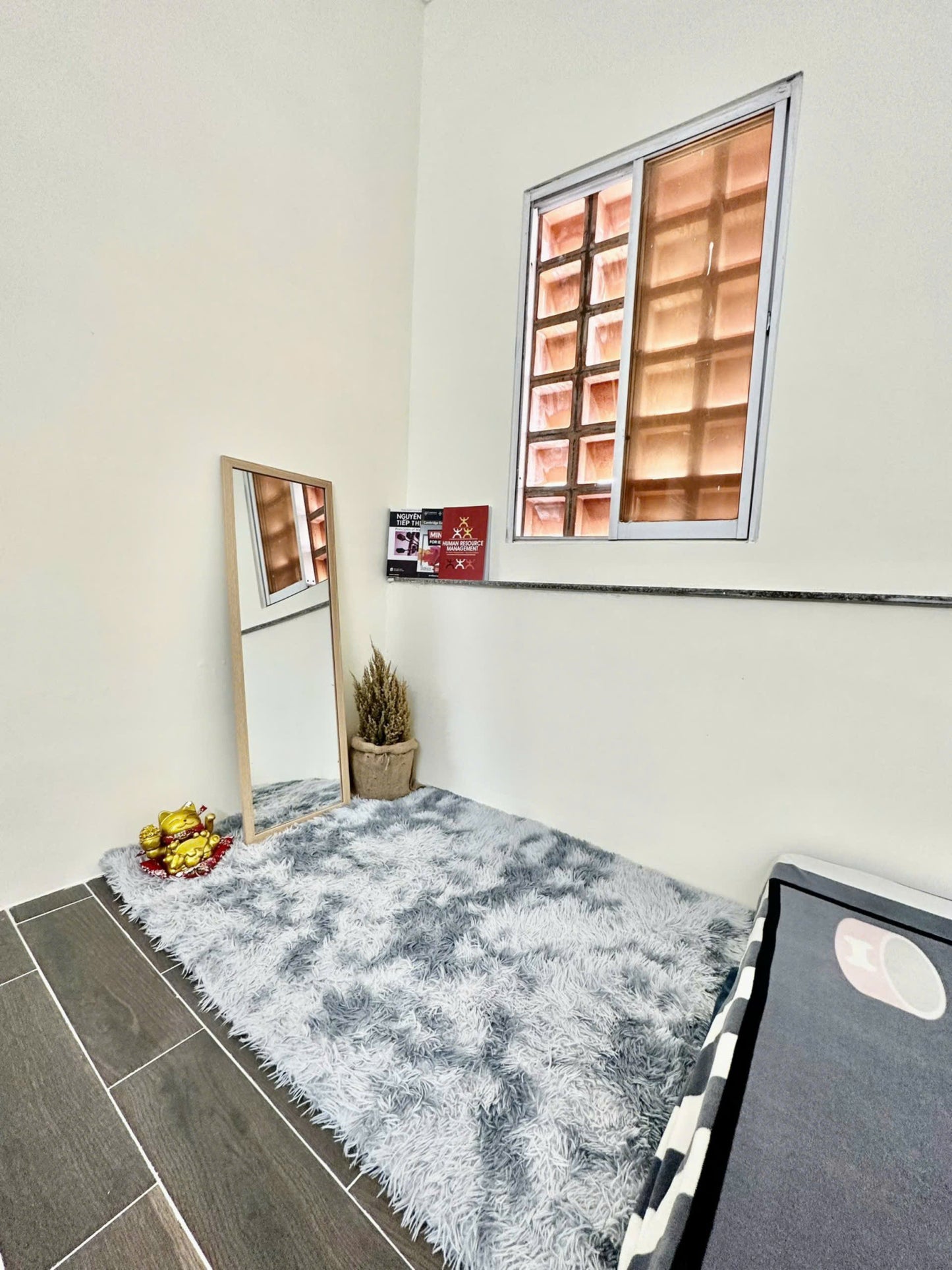 [003775]TTSTUST-NM01