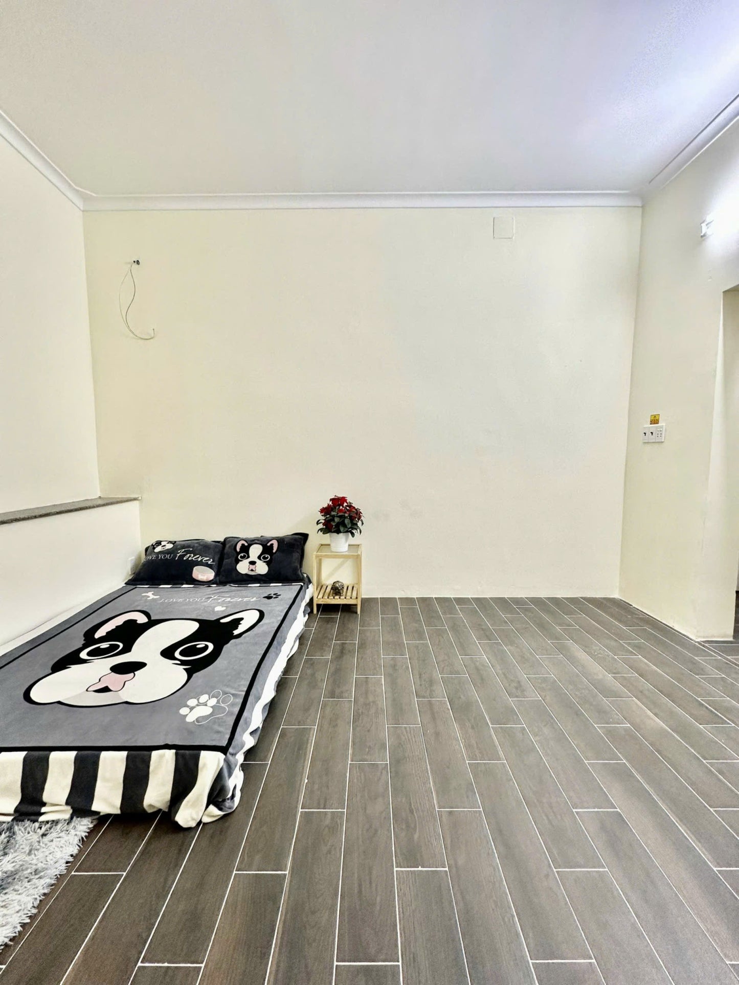 [003775]TTSTUST-NM01