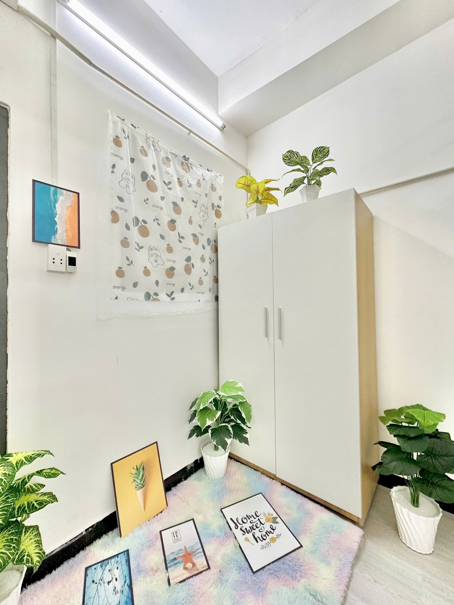 [003785]ACDUPST-NM01