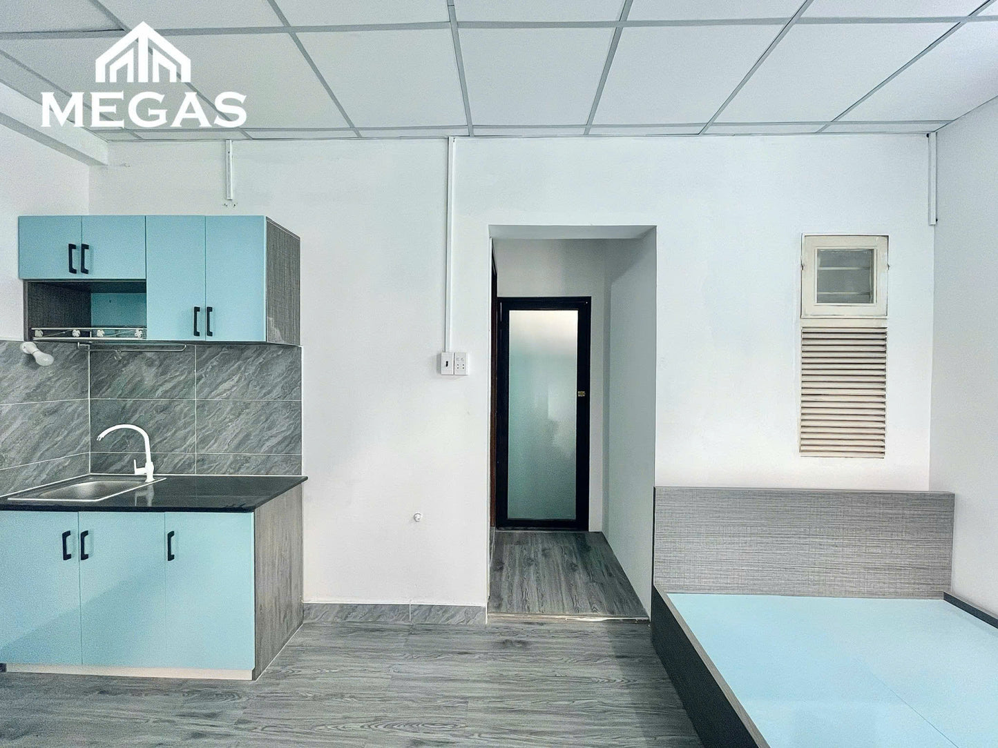 [005565]DSSTUBC-NM01