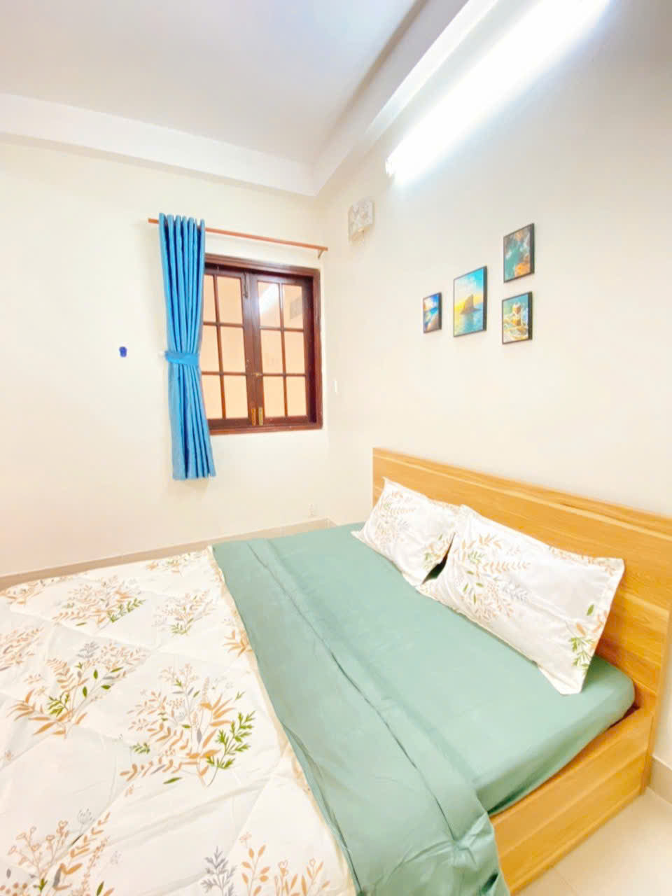 [004245]BGSTUST-NM01