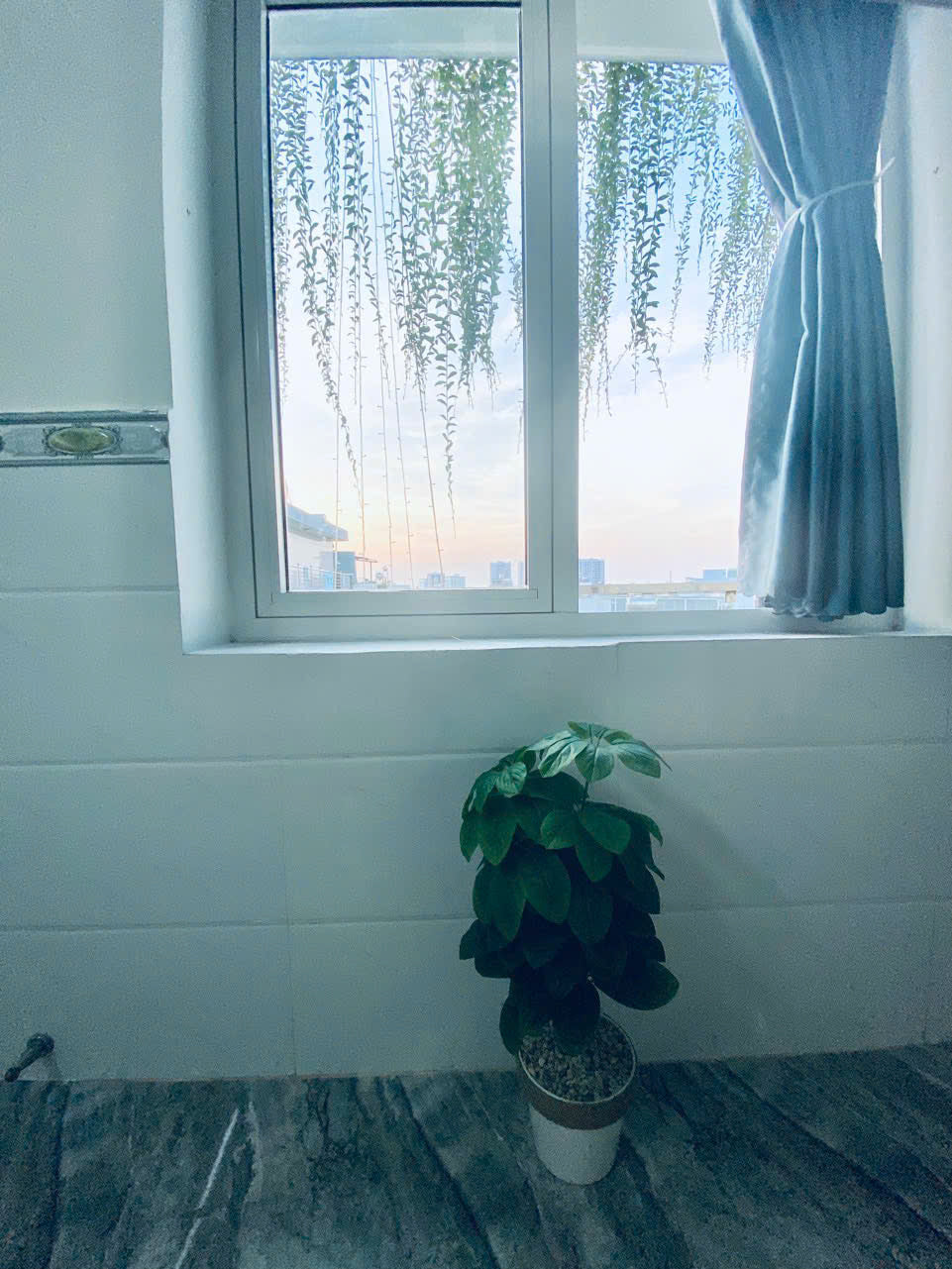 [004385]TMNDUPSK-NM01