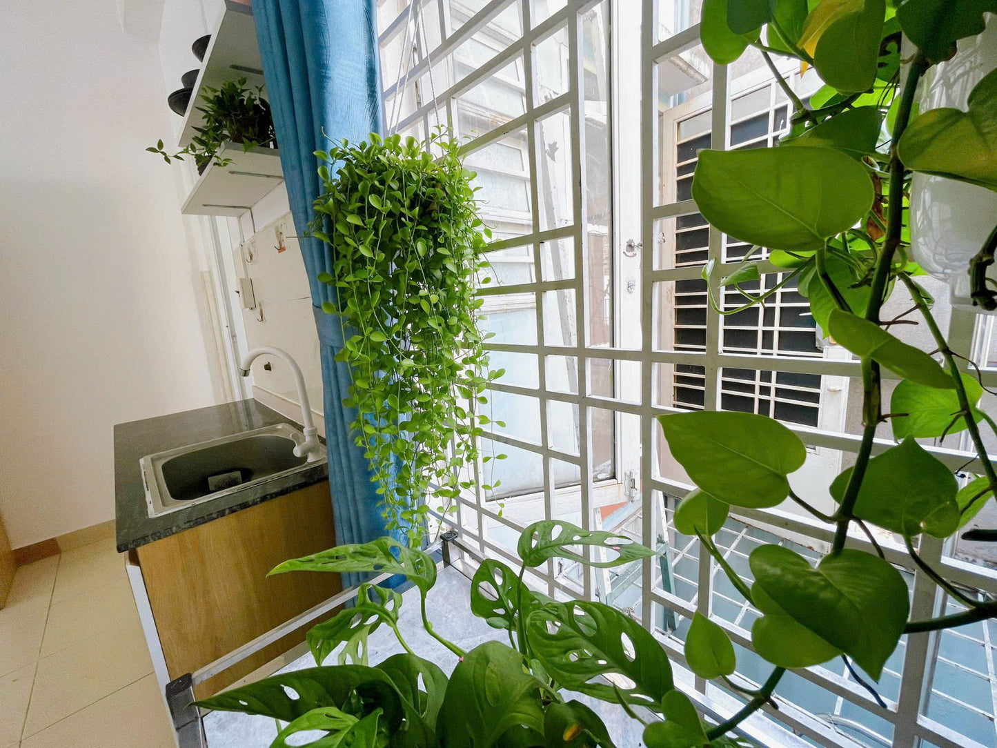 [005105]NTSTUSK-NM01