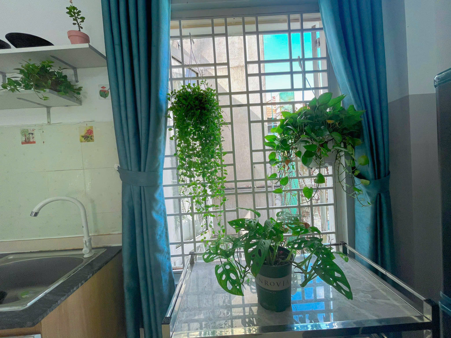 [005105]NTSTUSK-NM01