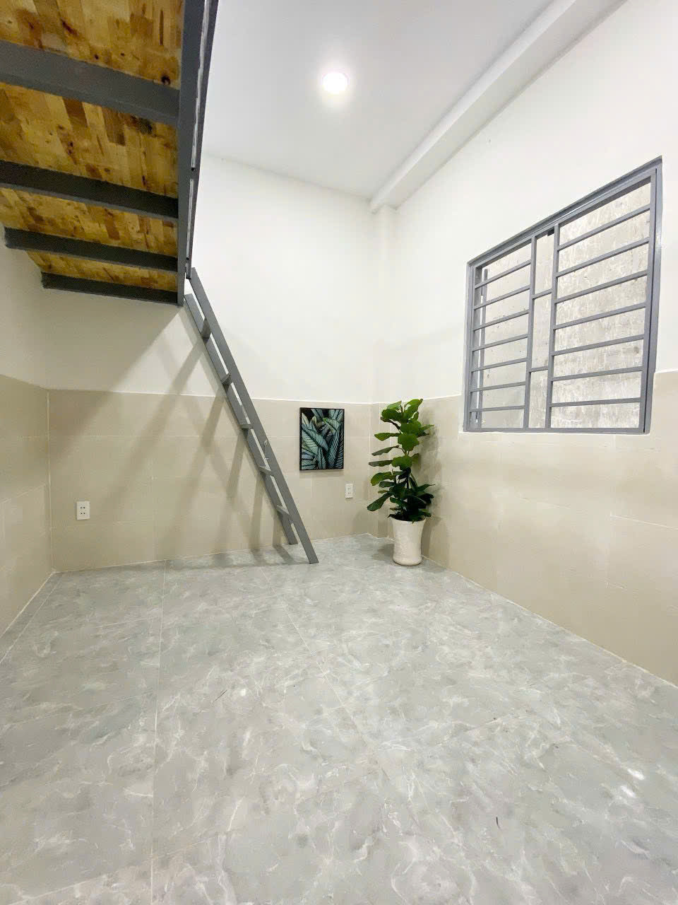 [005115]BGDUPST-NM01