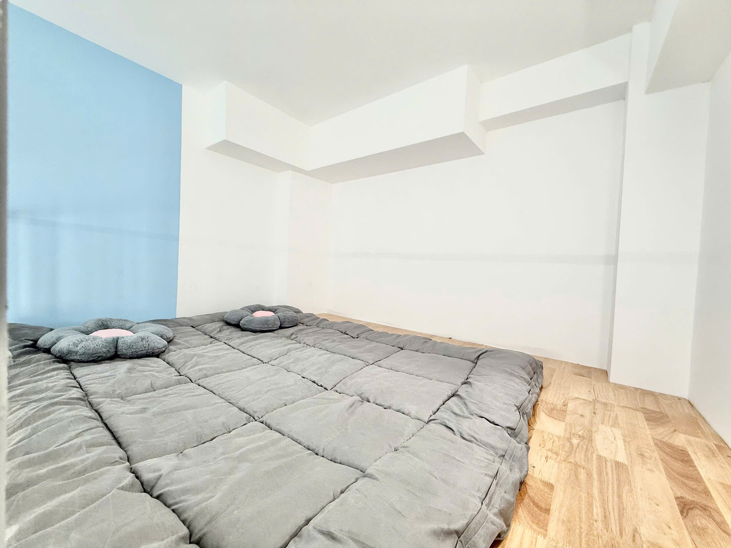 [006675]NPCDUPSK-NM01