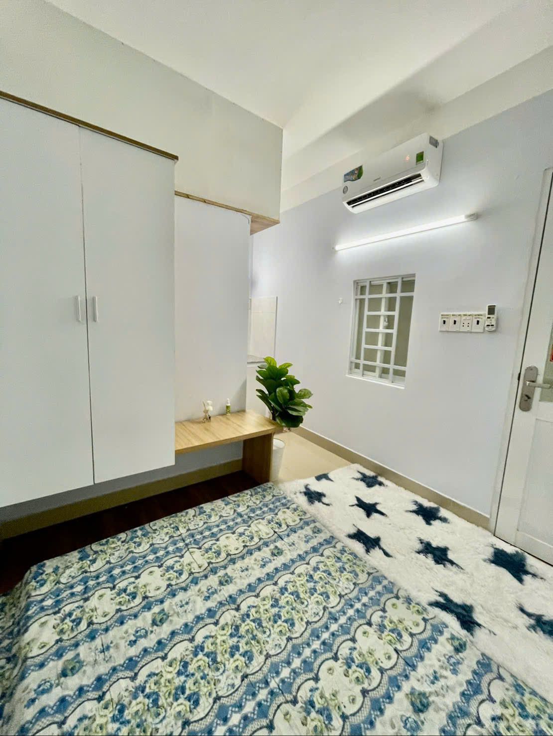 [007395]CHSTUST-NM01