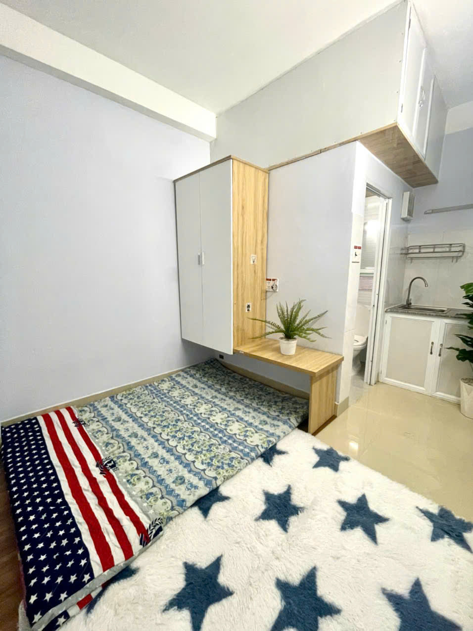 [007395]CHSTUST-NM01