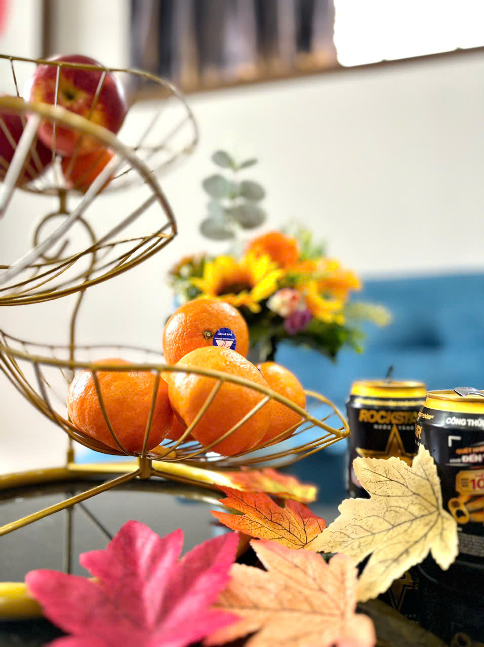 [005855]TMN2PNBC-LG01