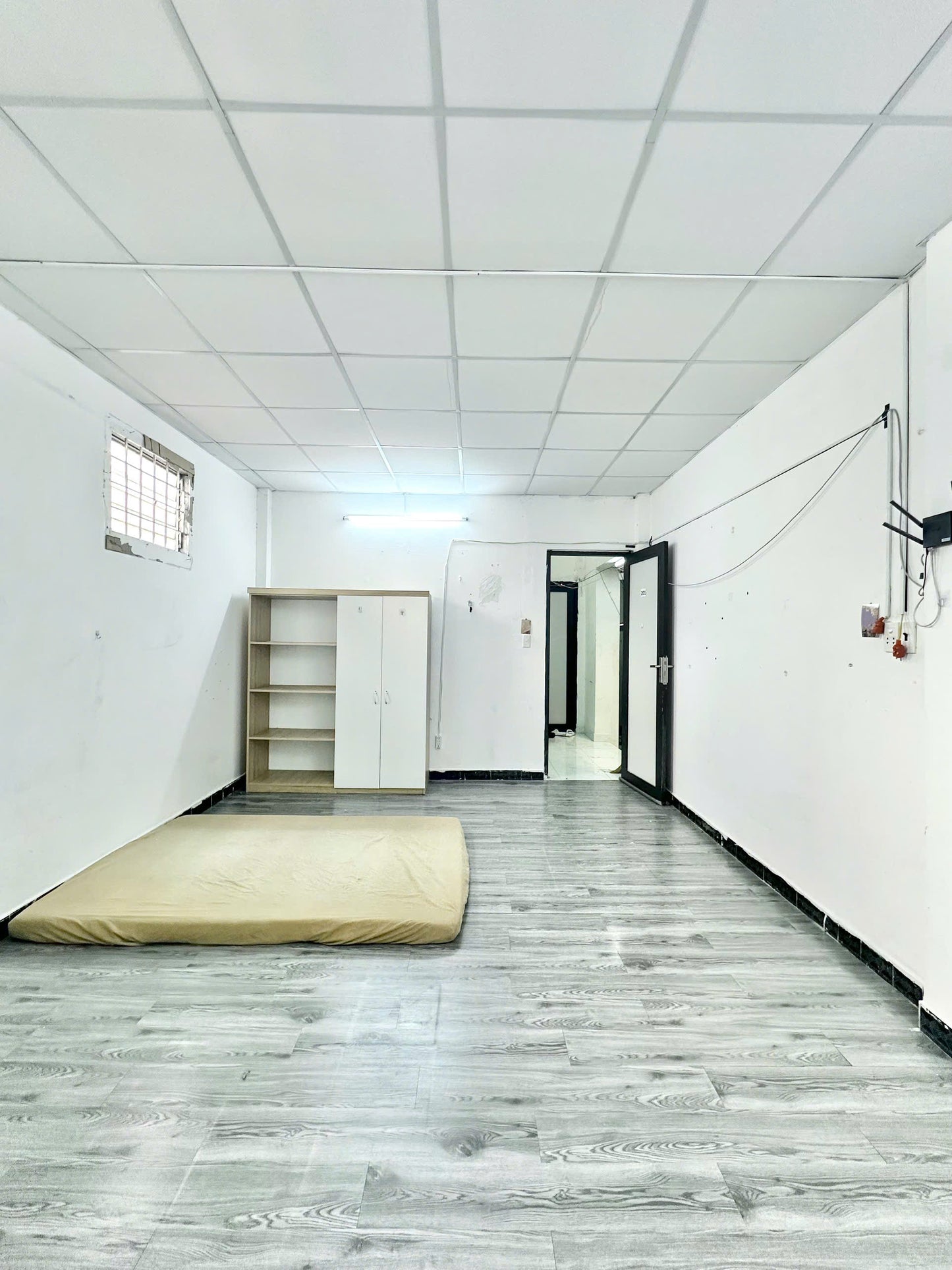 [006295]BCSTUST-LG04