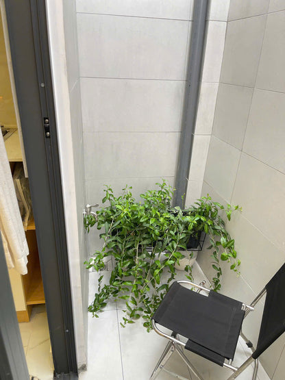 [007495]THSTUST-NM01