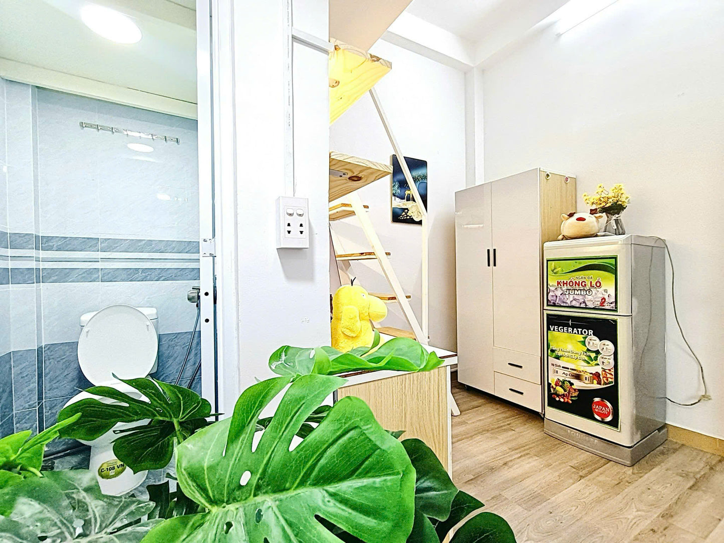 [008395]BGDUPST-NM01