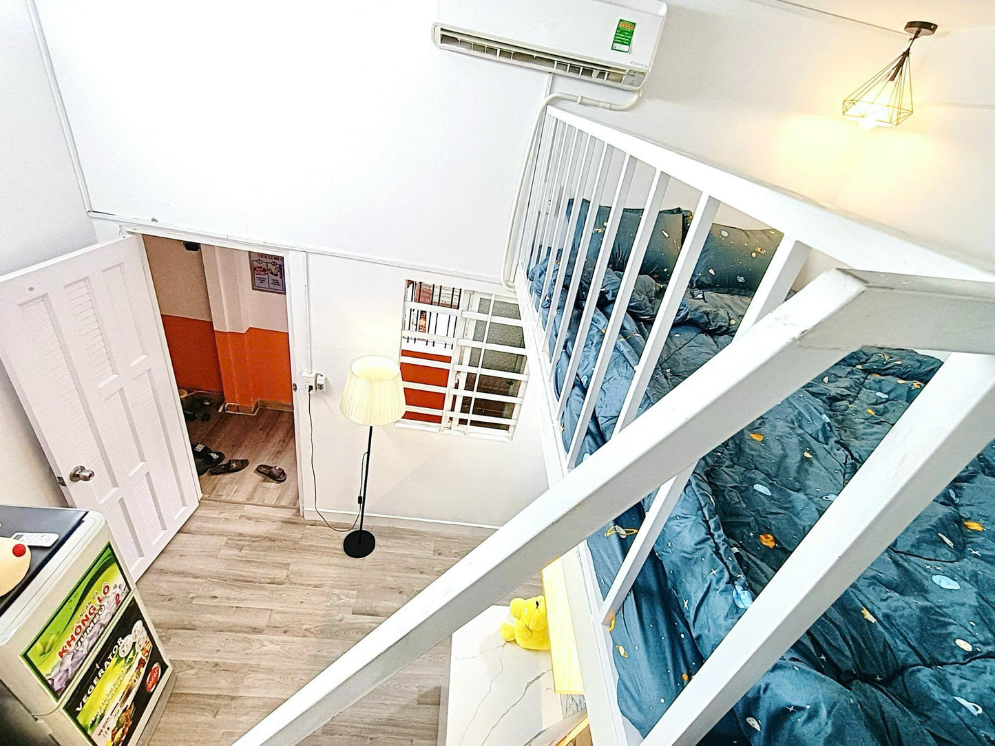 [008395]BGDUPST-NM01