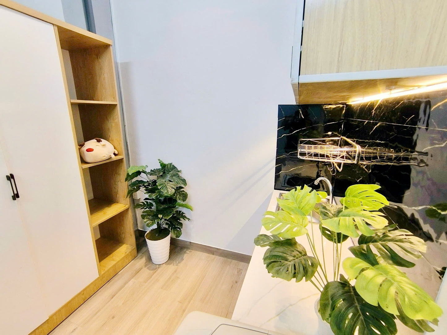 [008415]BG1PNBC-NM03