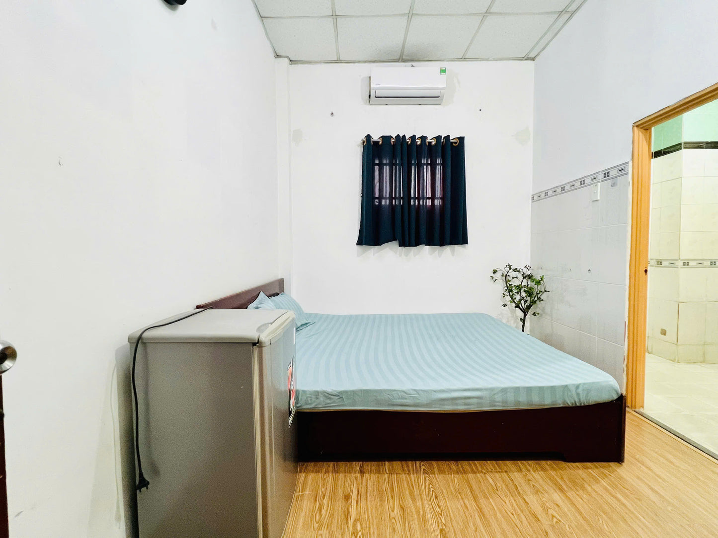 [009481]TSNDUPST-NM02