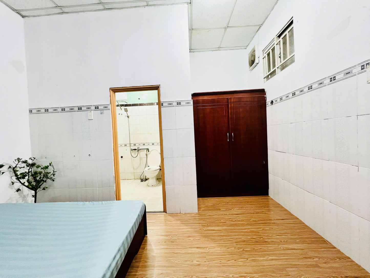 [009481]TSNDUPST-NM02