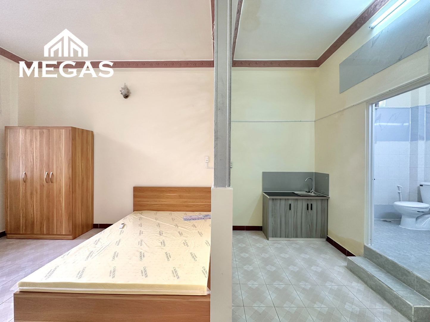 [009641]DLSTUSK-NM01