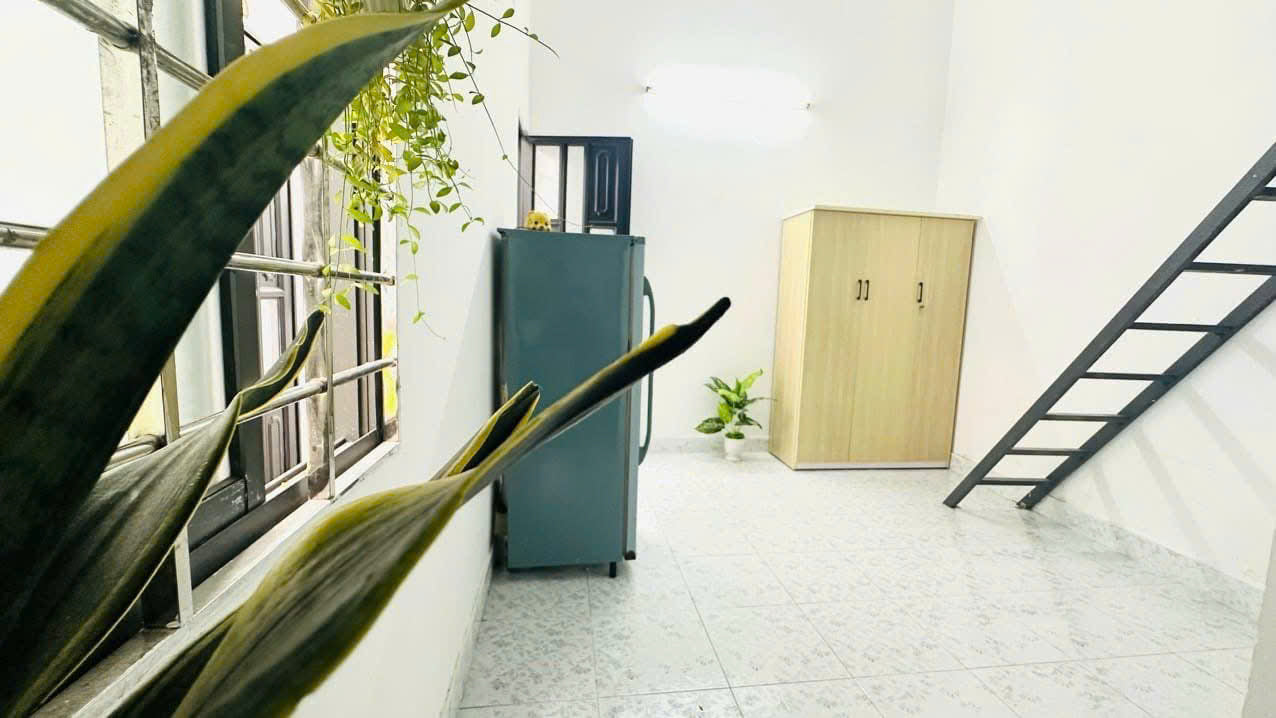 [009195]DS1DUPST-NM01