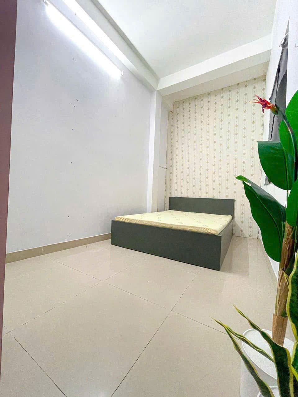 [008735]TC2PNSK-LG01