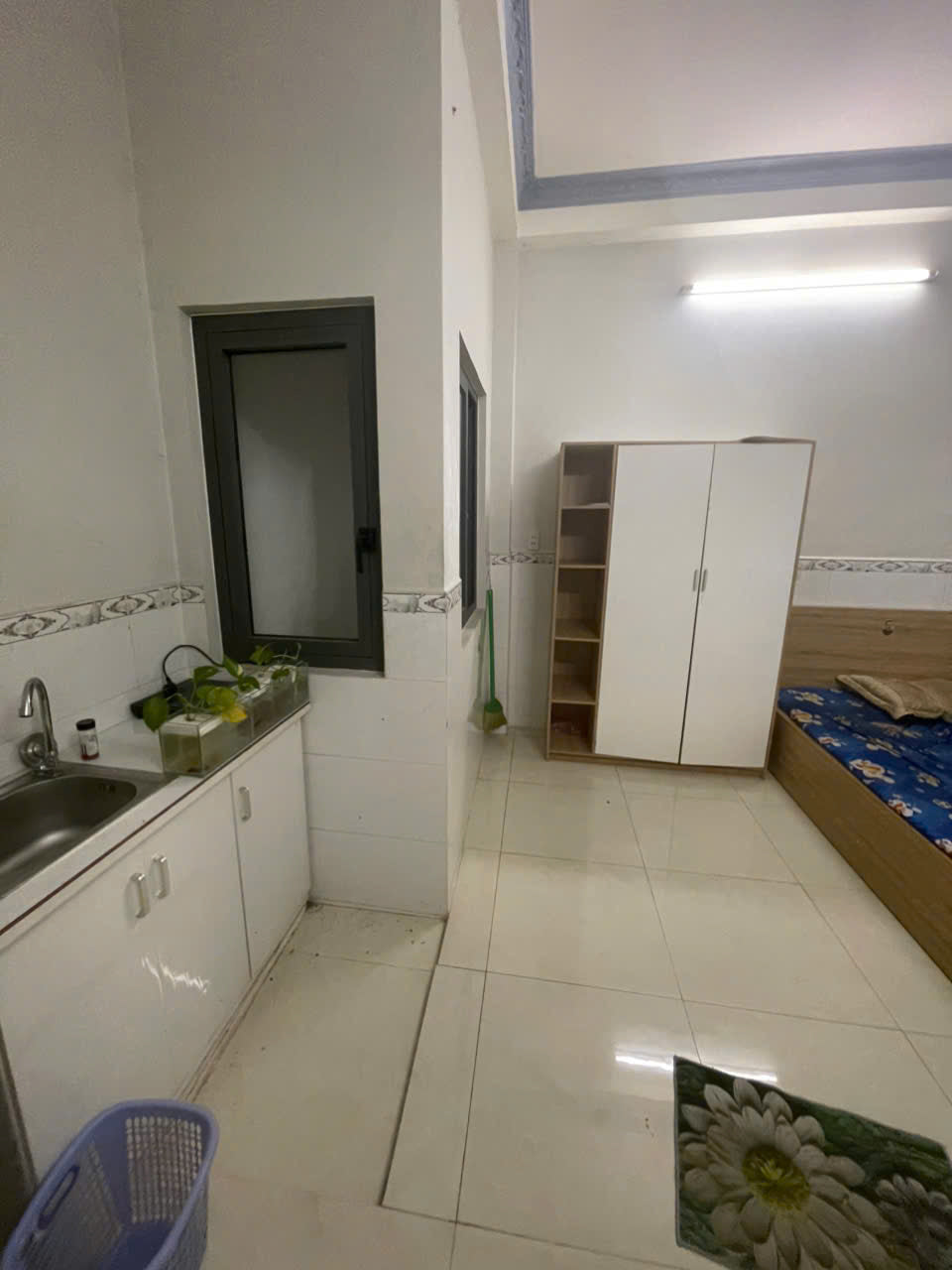 [010291]DNSTUST-NM01