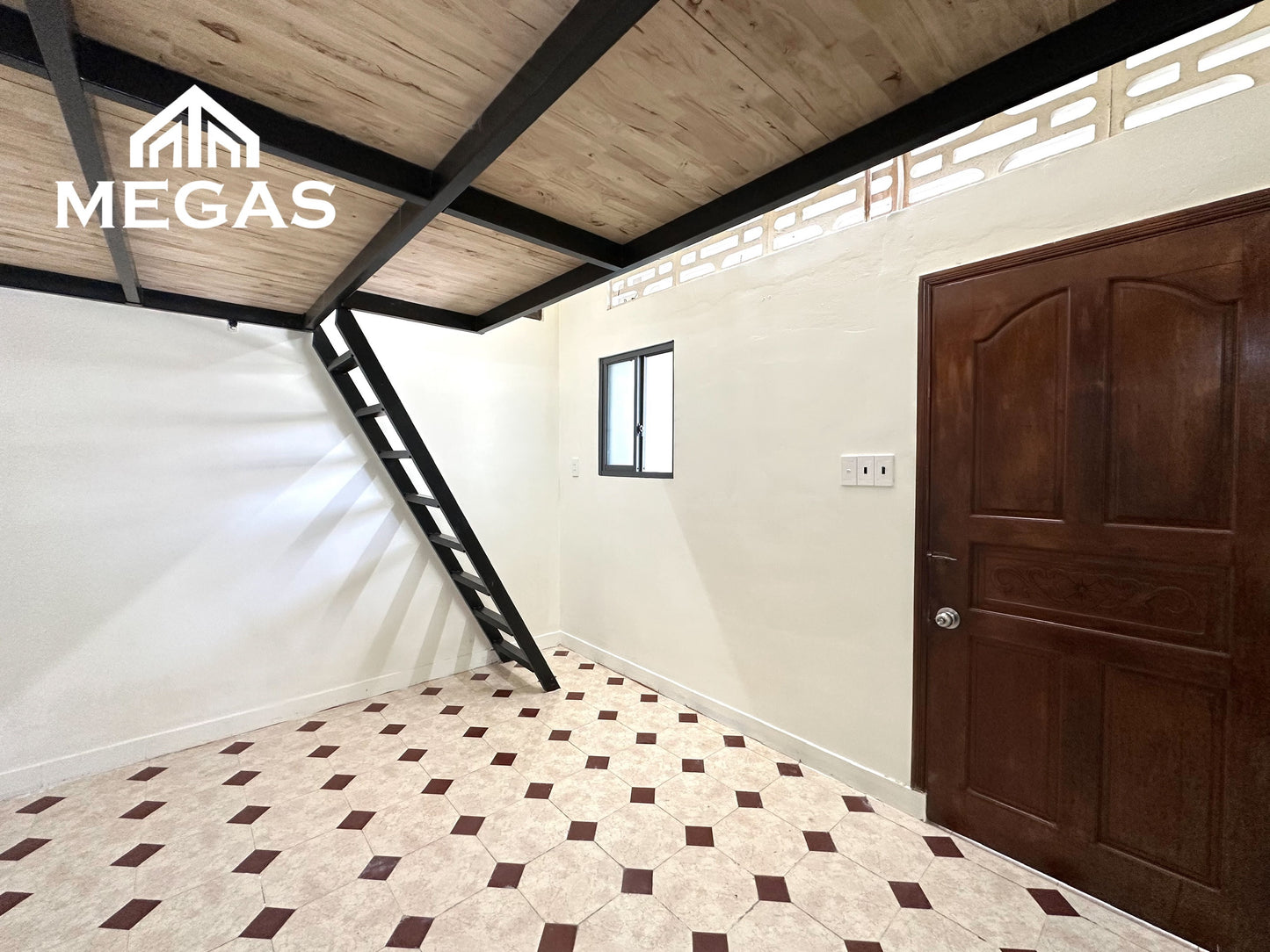 [010611]TLDUPST-NM02