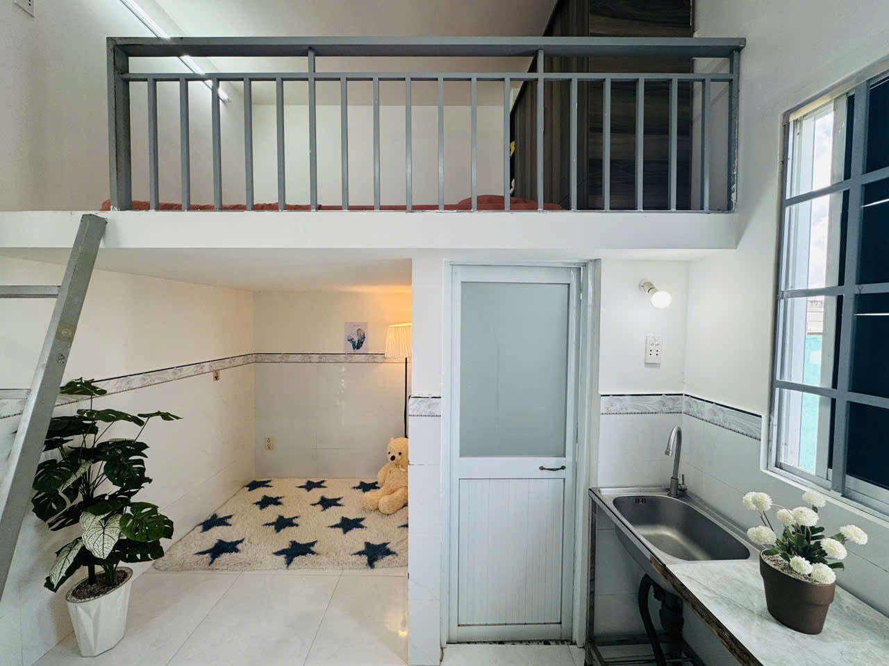 [011315]VCDUPSK-NM01