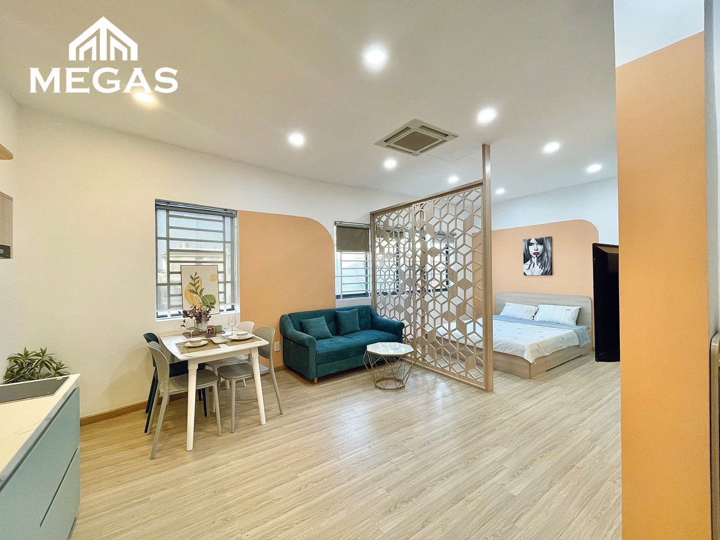 [010125]TVHSTUSK-LG02