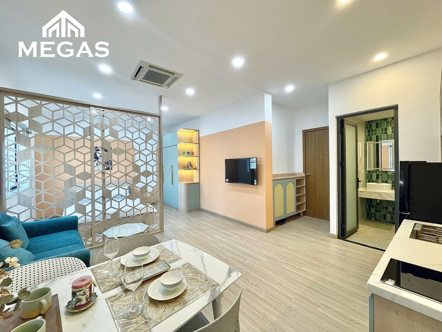 [010125]TVHSTUSK-LG02