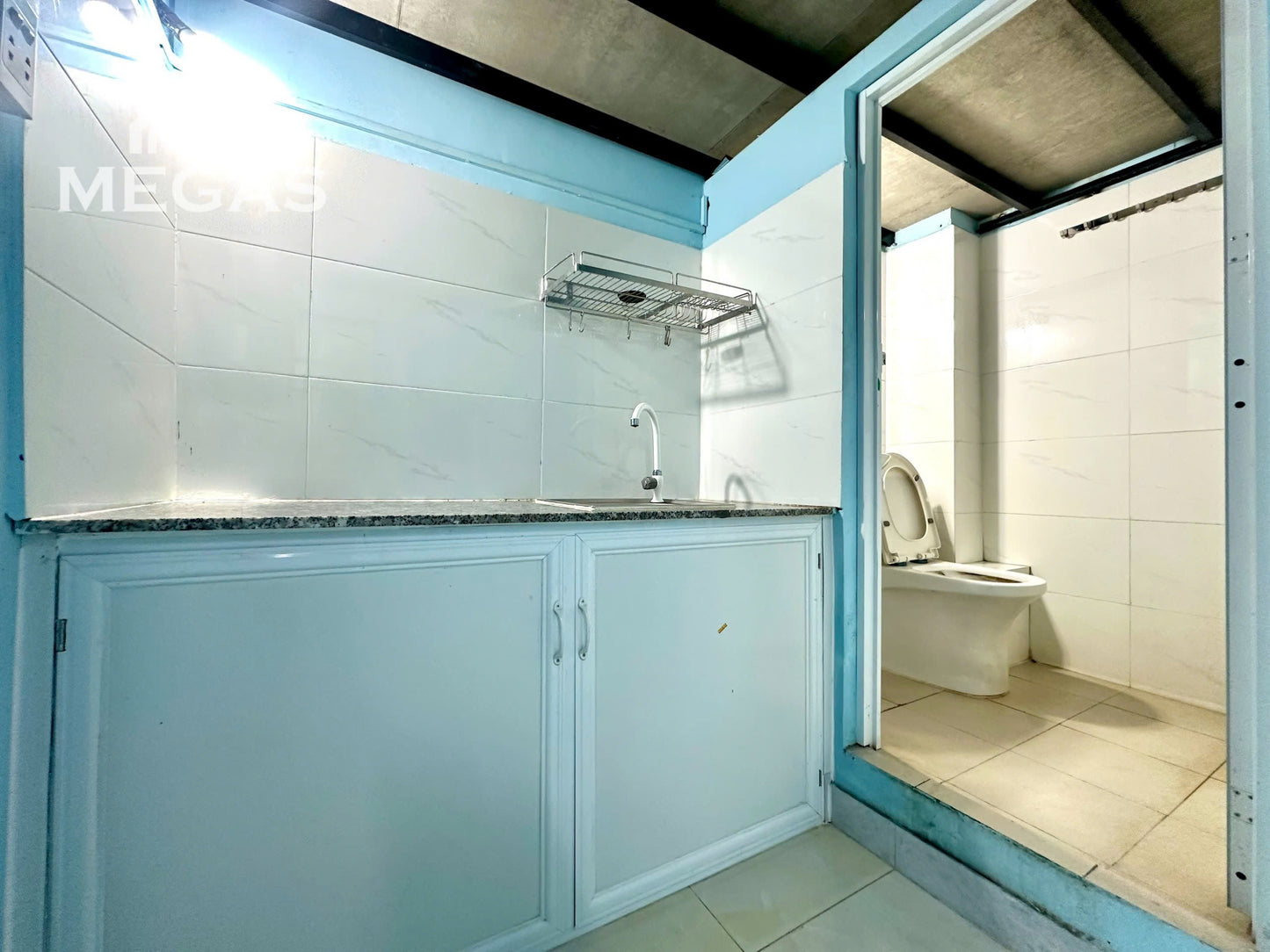 [011021]LTHDUPST-SM01