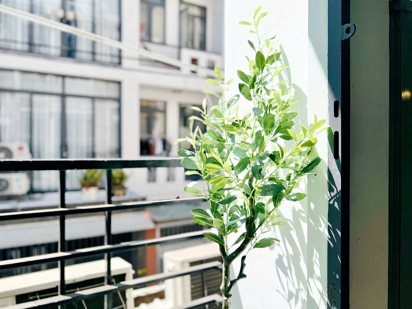 [011645]TCDUPBC-NM01