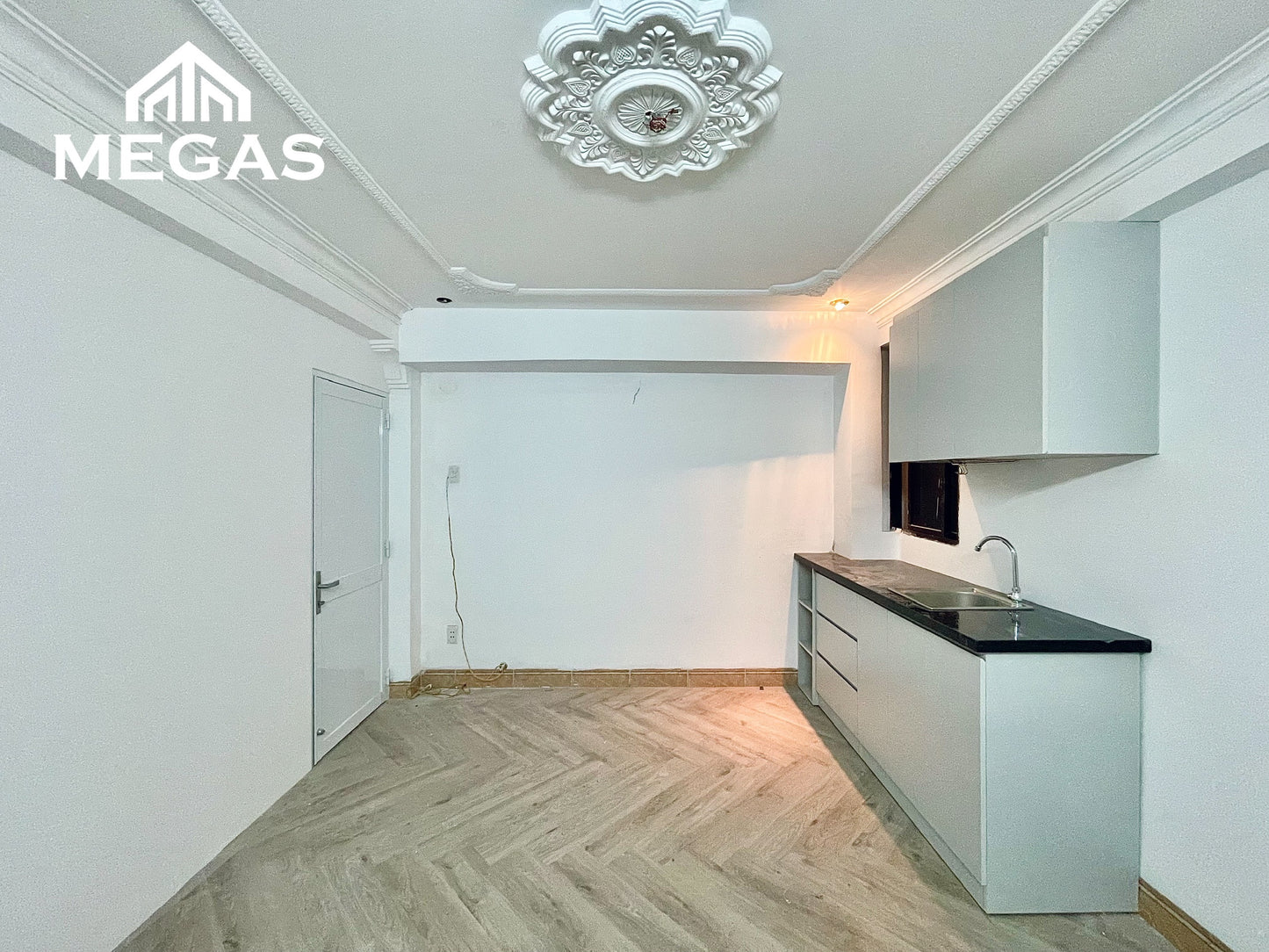 [010385]TS1PNSK-LG04